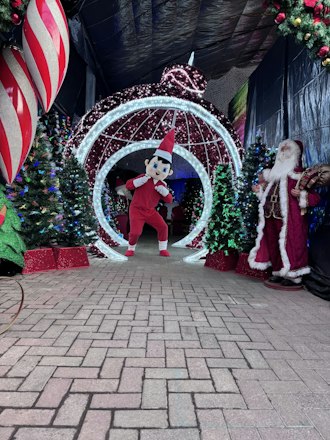 Elf Disco