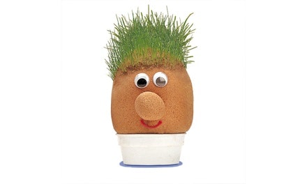 Grass Head 