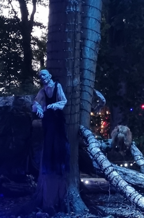 Haunted Forest Trail