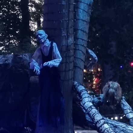 Haunted Forest Trail