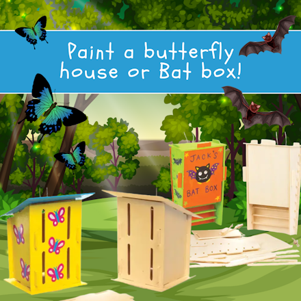 Paint a Bat OR Butterfly Box
