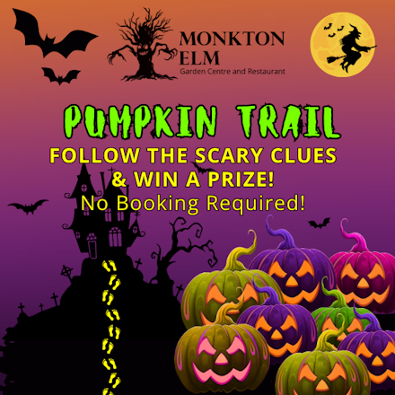 Pumpkin Trail 2025