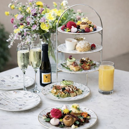 Elm Tree Garden Afternoon Tea