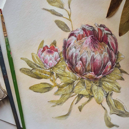 Botanical Illustration With Katherine O