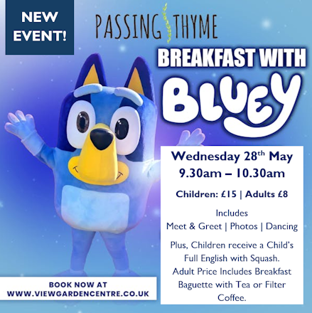 Breakfast with Blue Dog
